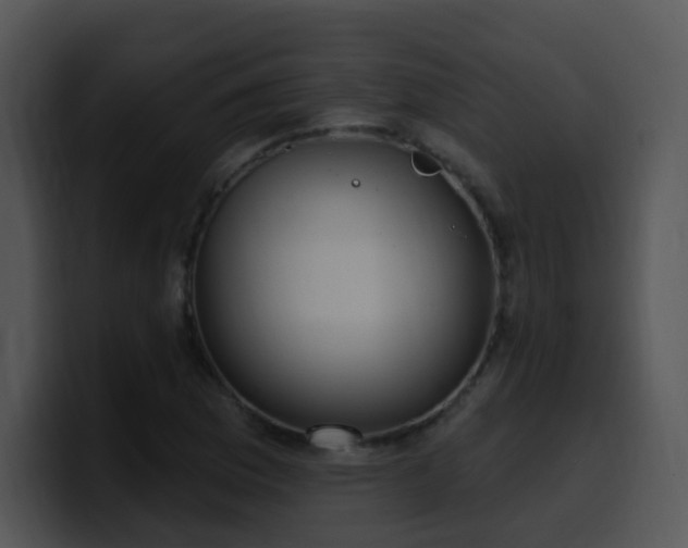 X0000100411169200806061335