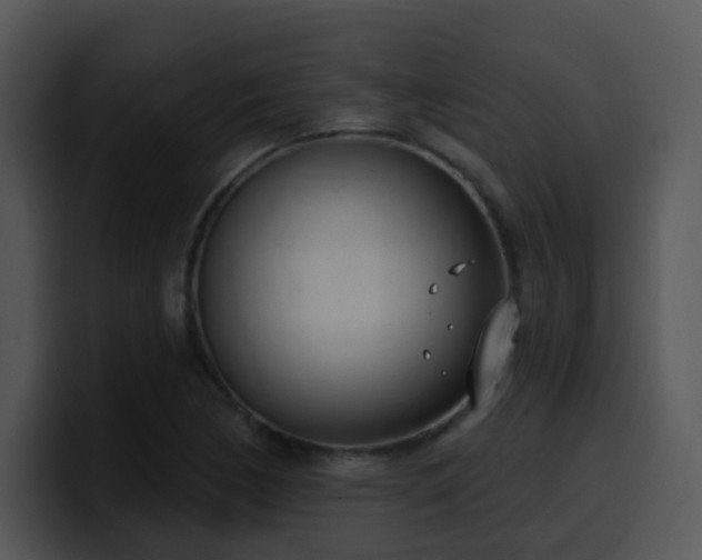 X0000100411170200806061335