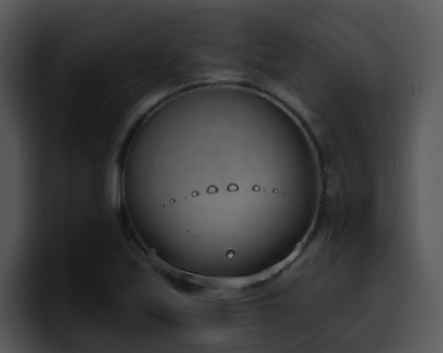 X0000100411171200806061335