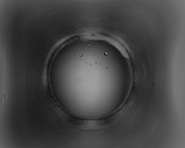 X0000100411172200806061335