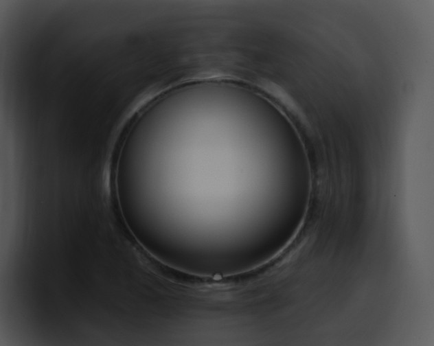 X0000100411173200806061335