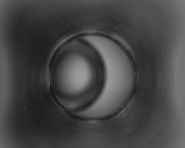 X0000100411175200806061335