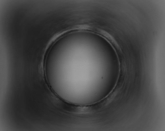 X0000100411176200806061335