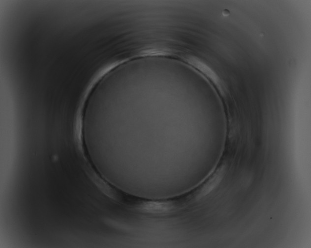 X0000100411179200806061335