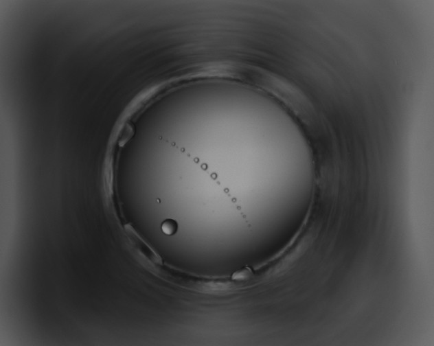 X0000100411180200806061335