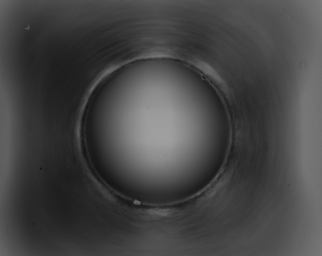 X0000100411181200806061335