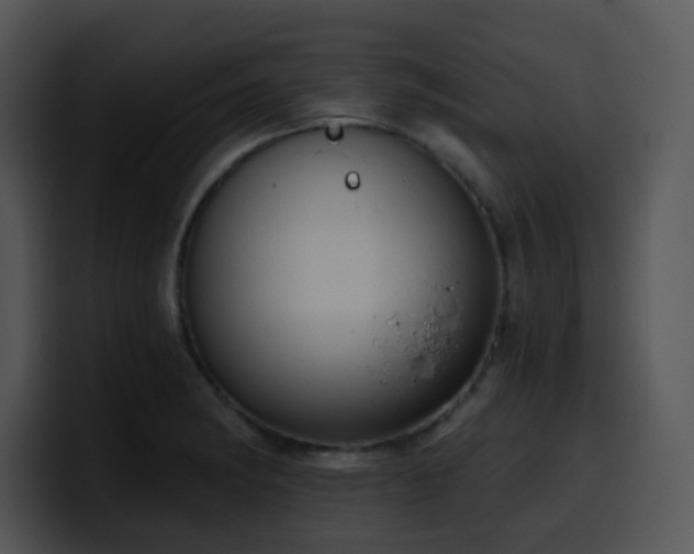 X0000100411182200806061335