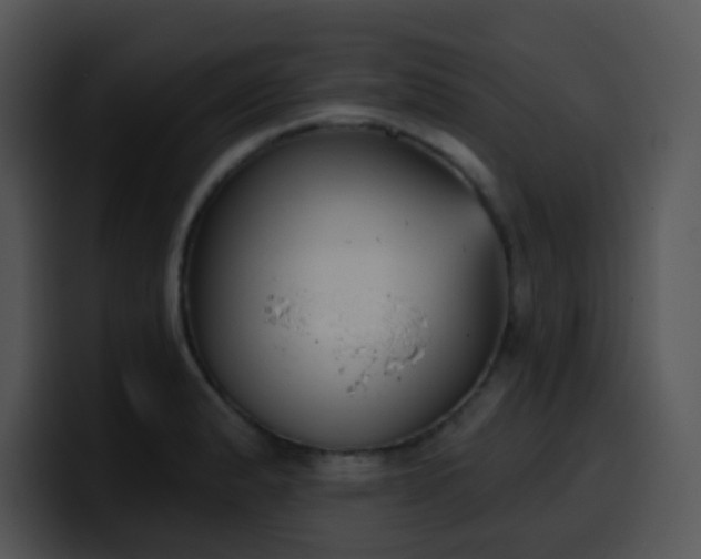 X0000100411183200806061335