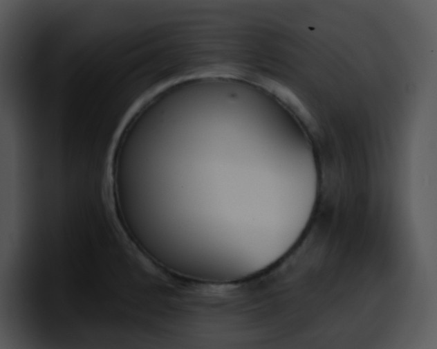 X0000100411184200806061335