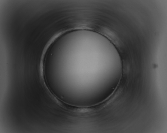 X0000100411188200806061335