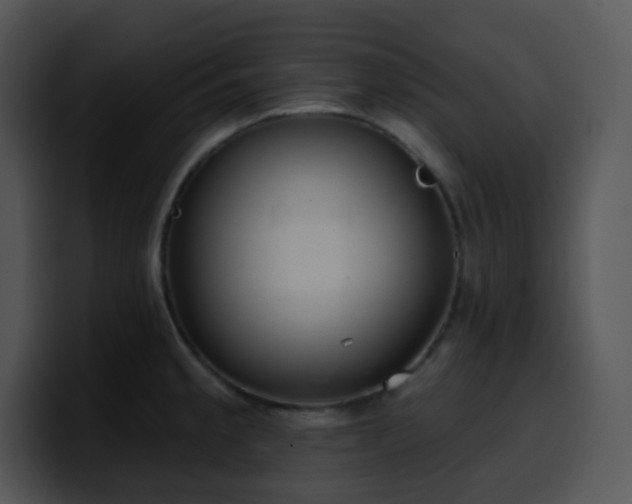 X0000100411189200806061335