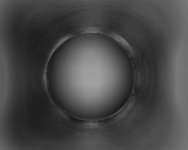 X0000100411190200806061335