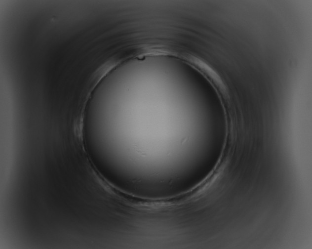 X0000100411193200806061335