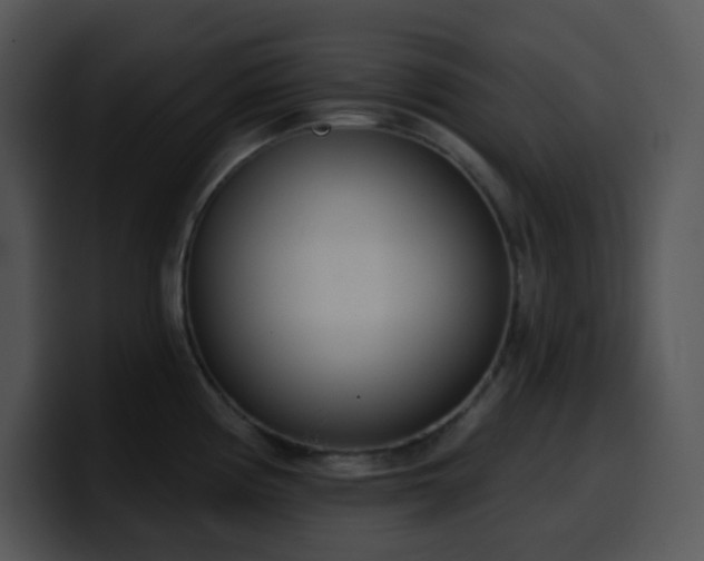 X0000100411194200806061335