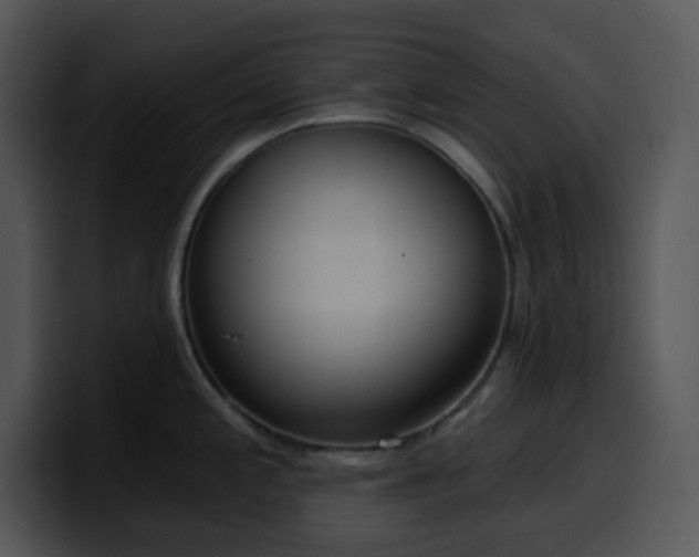 X0000100411197200806061335