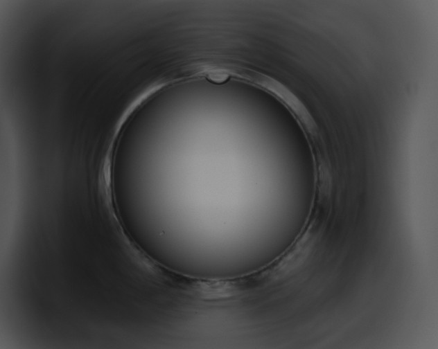 X0000100411198200806061335