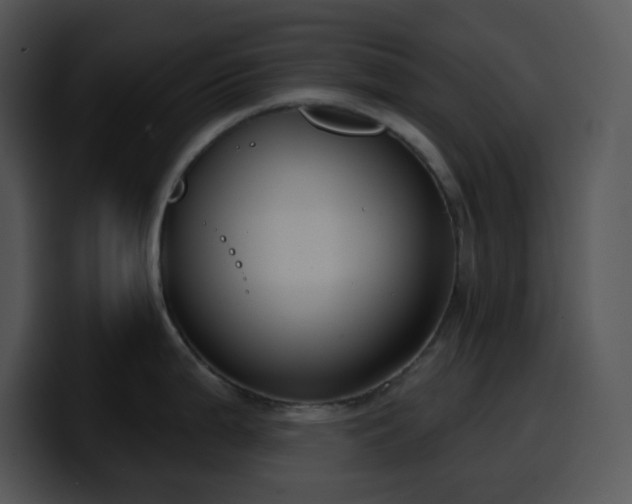 X0000100411199200806061335