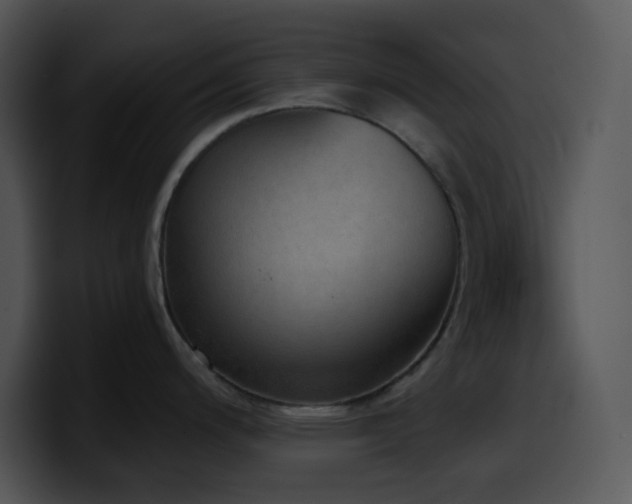 X0000100411200200806061335