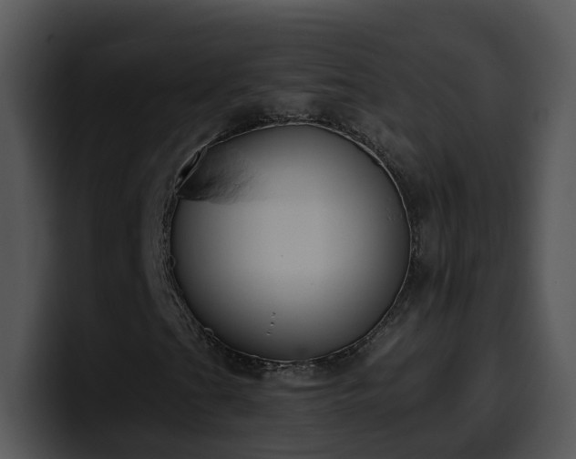 X0000100411201200806061334