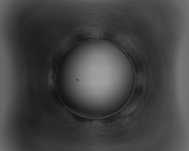 X0000100411202200806061334