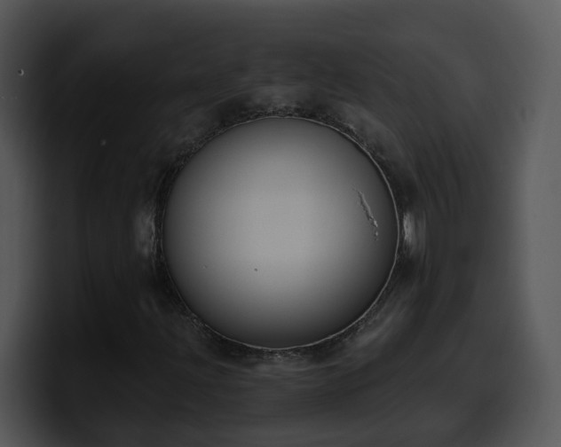 X0000100411203200806061334