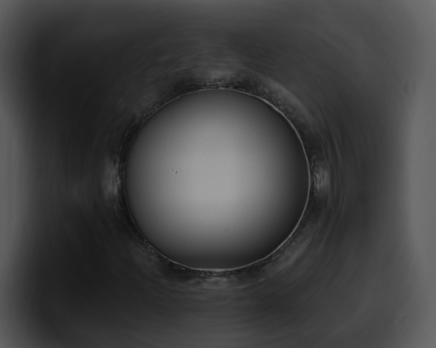 X0000100411204200806061334