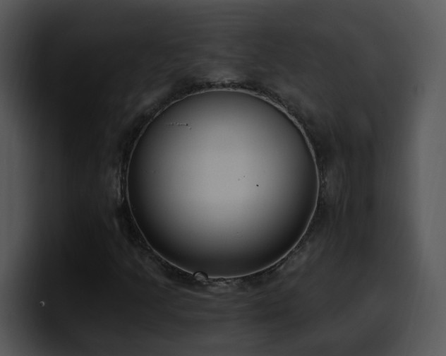 X0000100411205200806061334