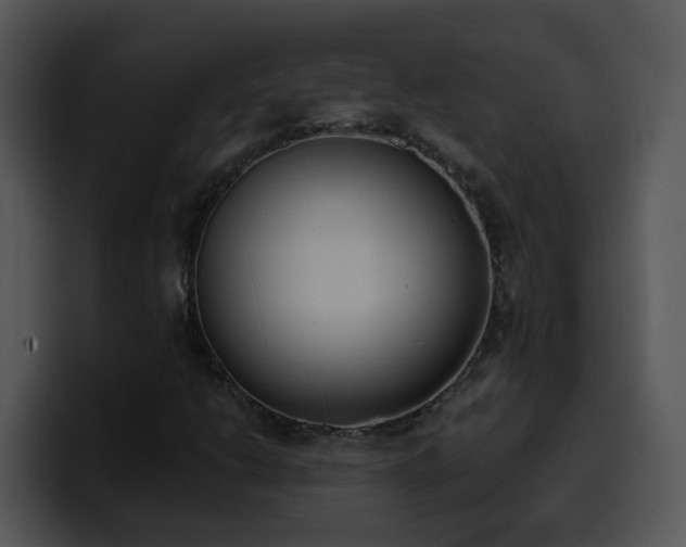 X0000100411206200806061334