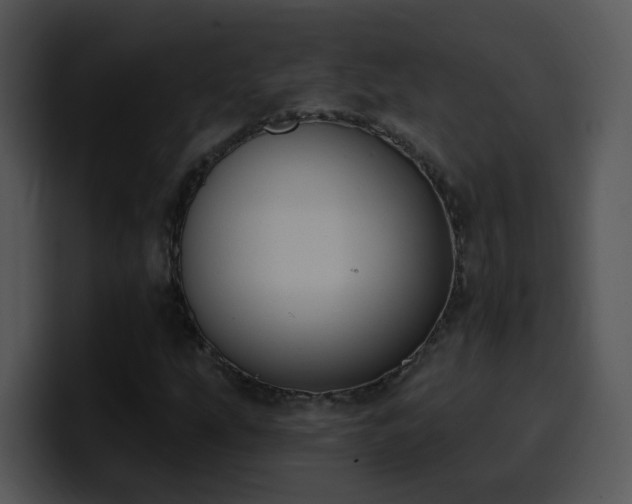 X0000100411207200806061334