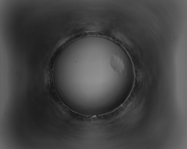 X0000100411208200806061334