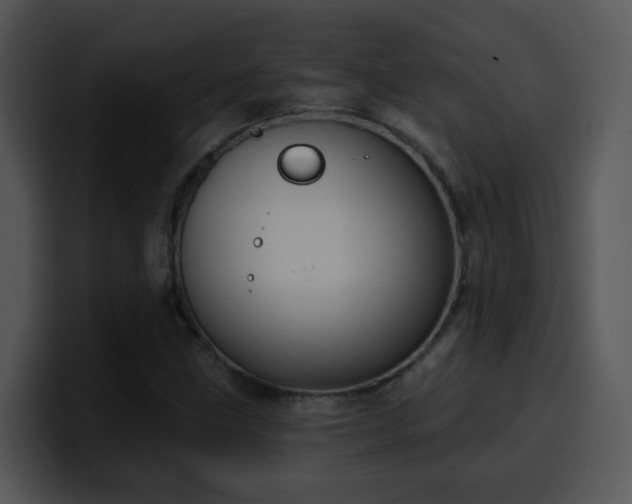 X0000100411211200806061334