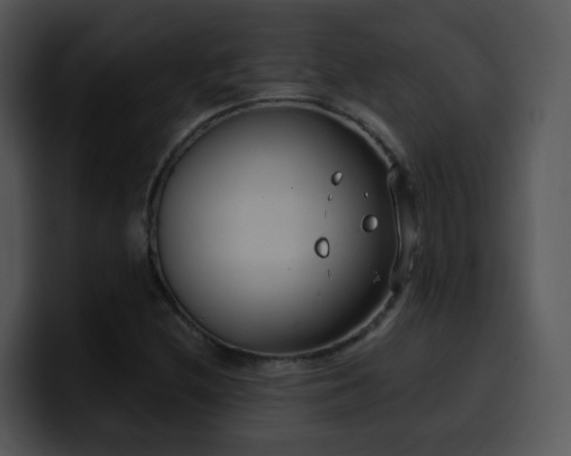 X0000100411212200806061334