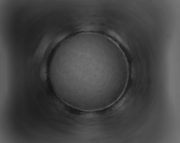 X0000100411213200806061334