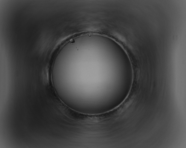 X0000100411214200806061334