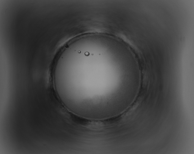 X0000100411215200806061334