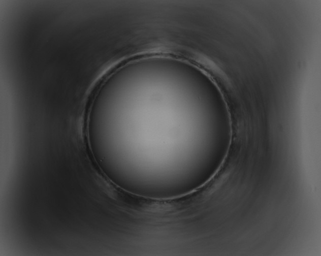 X0000100411216200806061334