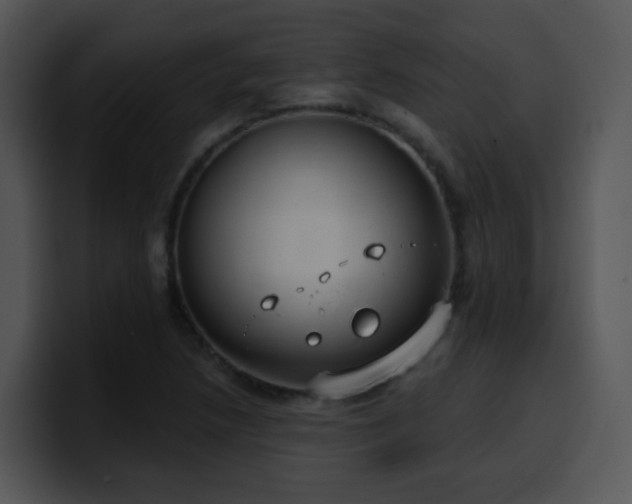 X0000100411218200806061334