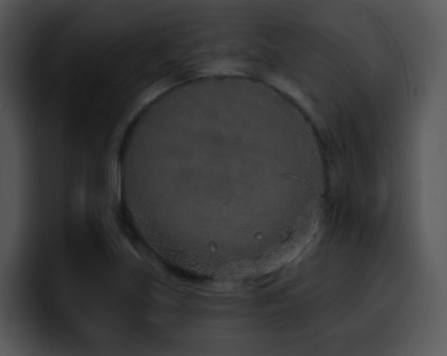 X0000100411219200806061334