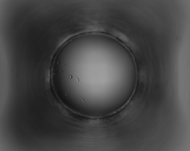 X0000100411220200806061334