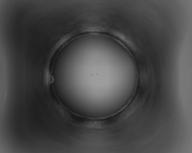 X0000100411221200806061334