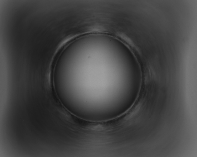 X0000100411222200806061334