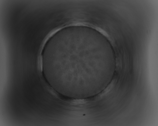 X0000100411223200806061334