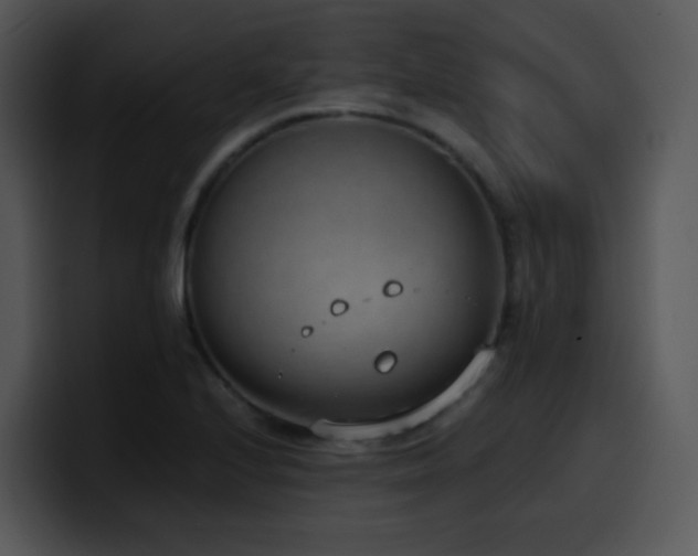 X0000100411224200806061334