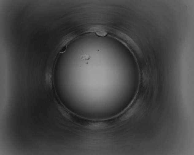 X0000100411225200806061334