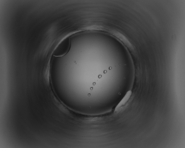 X0000100411228200806061334