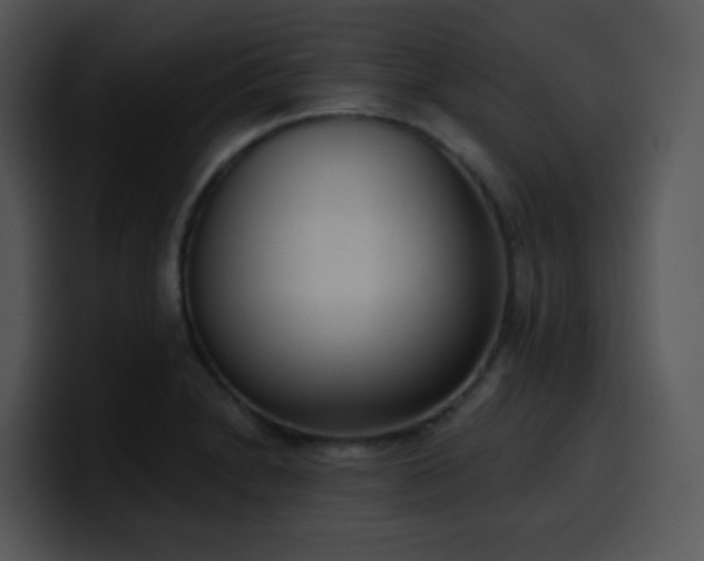 X0000100411230200806061334
