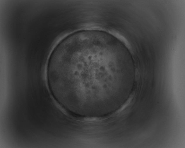 X0000100411231200806061334
