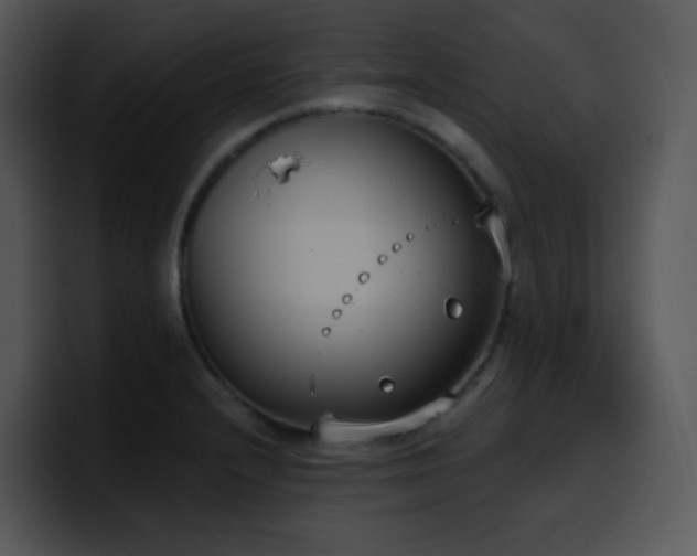 X0000100411232200806061334