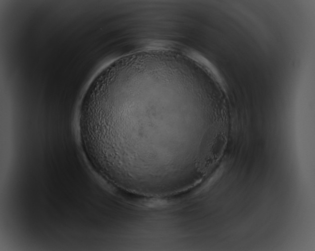 X0000100411235200806061334
