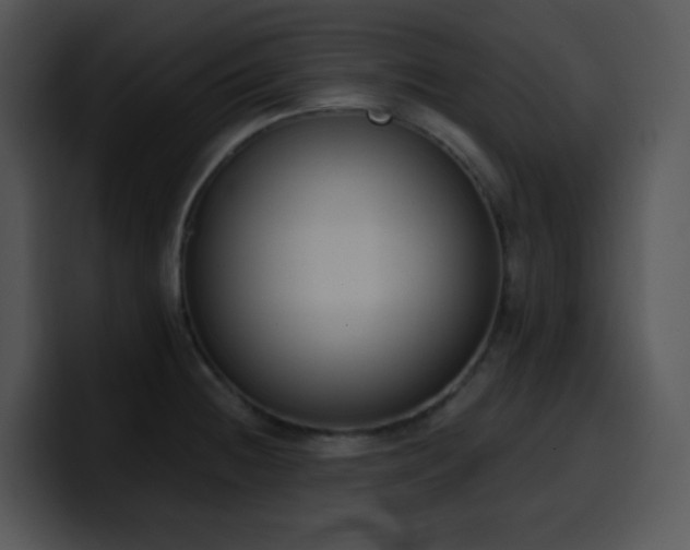 X0000100411236200806061334